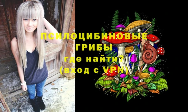 метадон Алексин
