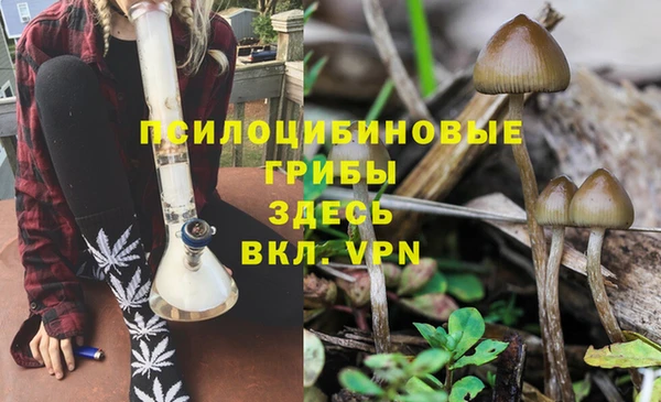 метадон Алексин