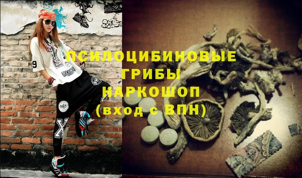метадон Алексин