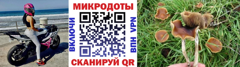 купить наркотики сайты  Кяхта  ОМГ ОМГ вход  Псилоцибиновые грибы мухоморы 