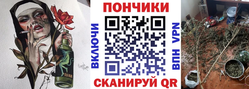 где продают наркотики  Кяхта  Бошки Шишки OG Kush 
